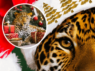 Noël au LDM : une semaine pour partager, rire et se retrouver I