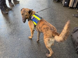 Prévention au LDM : Tokyo à la rencontre des lycéens !