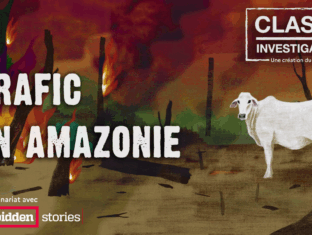 Trafic en Amazonie : enquête au cœur de la déforestation Trafic en Amazonie : enquête au cœur de la déforestation