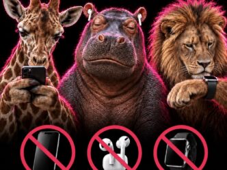 Des animaux pour faire passer le message ! Des animaux pour faire passer le message !